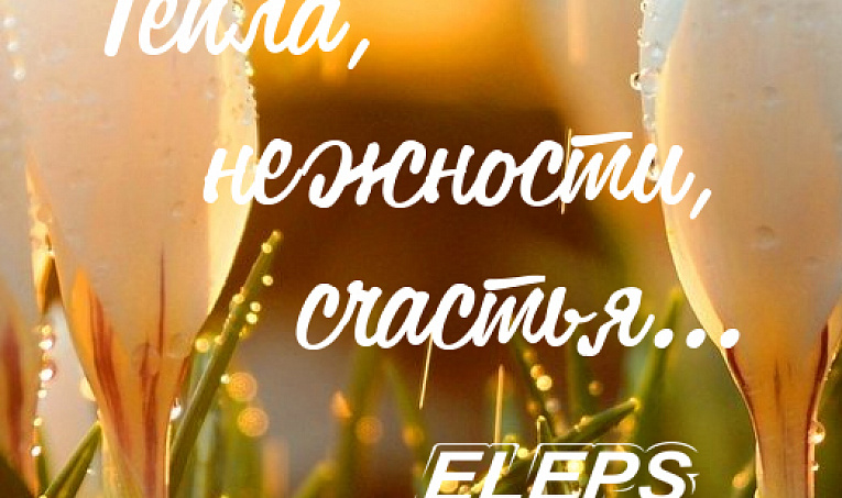 Поздравляем милых дам с весенним праздником!