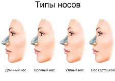 Варианты реконструктивной хирургии дефектов кончика носа