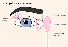 Отдаленные результаты эндохирургического лечения флегмон слезного мешка